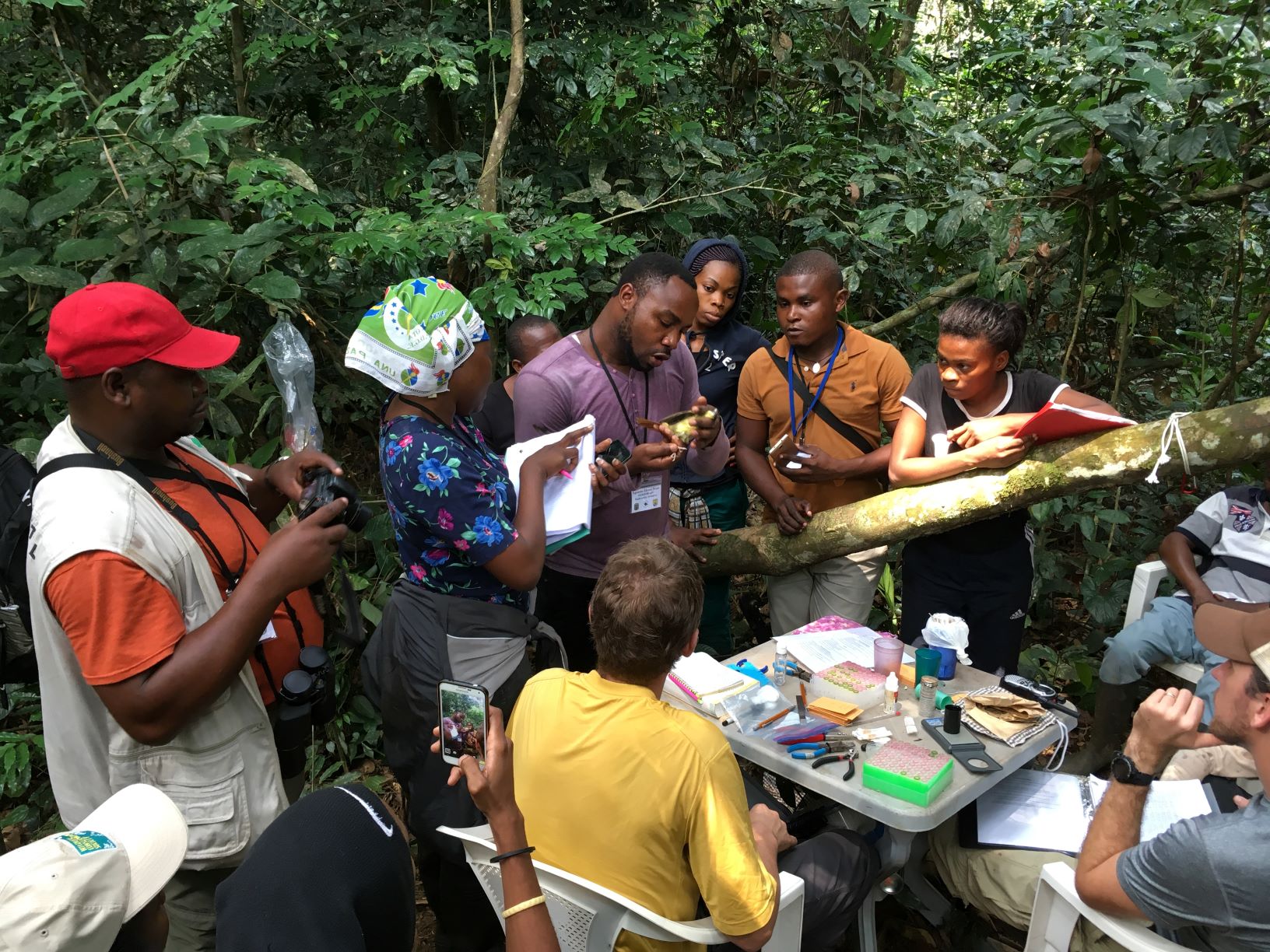 A group of researchers with INDEFOR-AP gather in the rainforest as a captured bird is assessed.